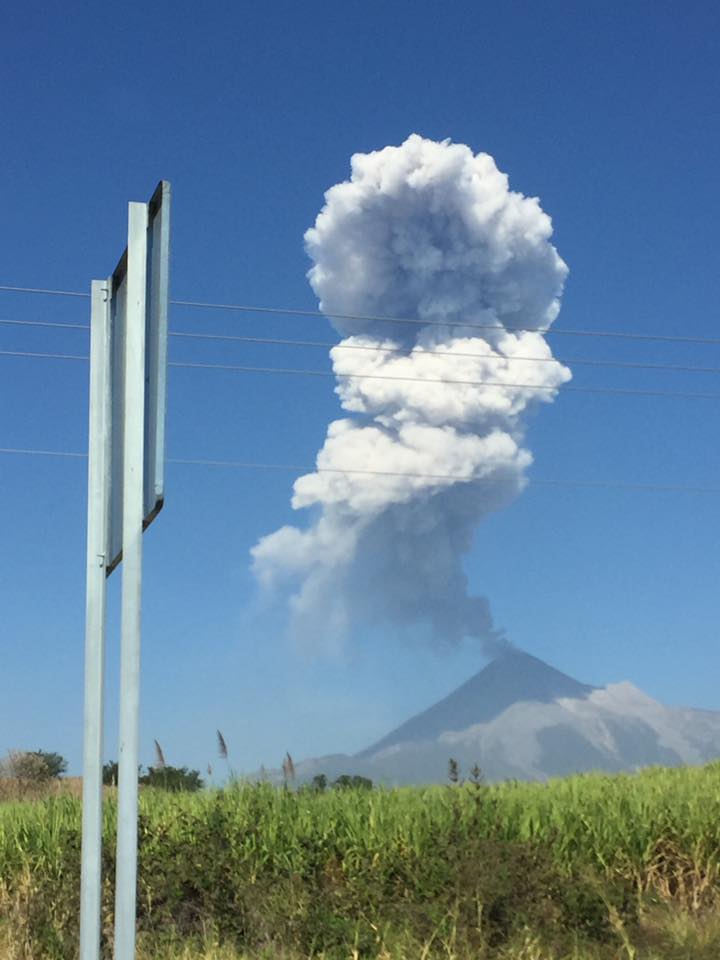 Erupción