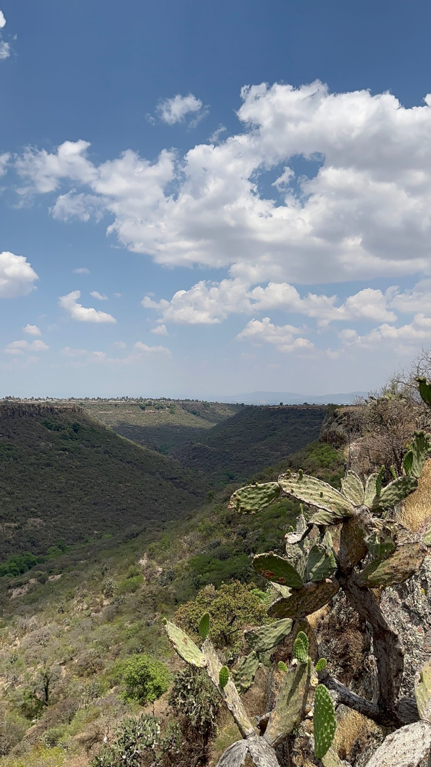 Vista del cañón Barranca de Galindo