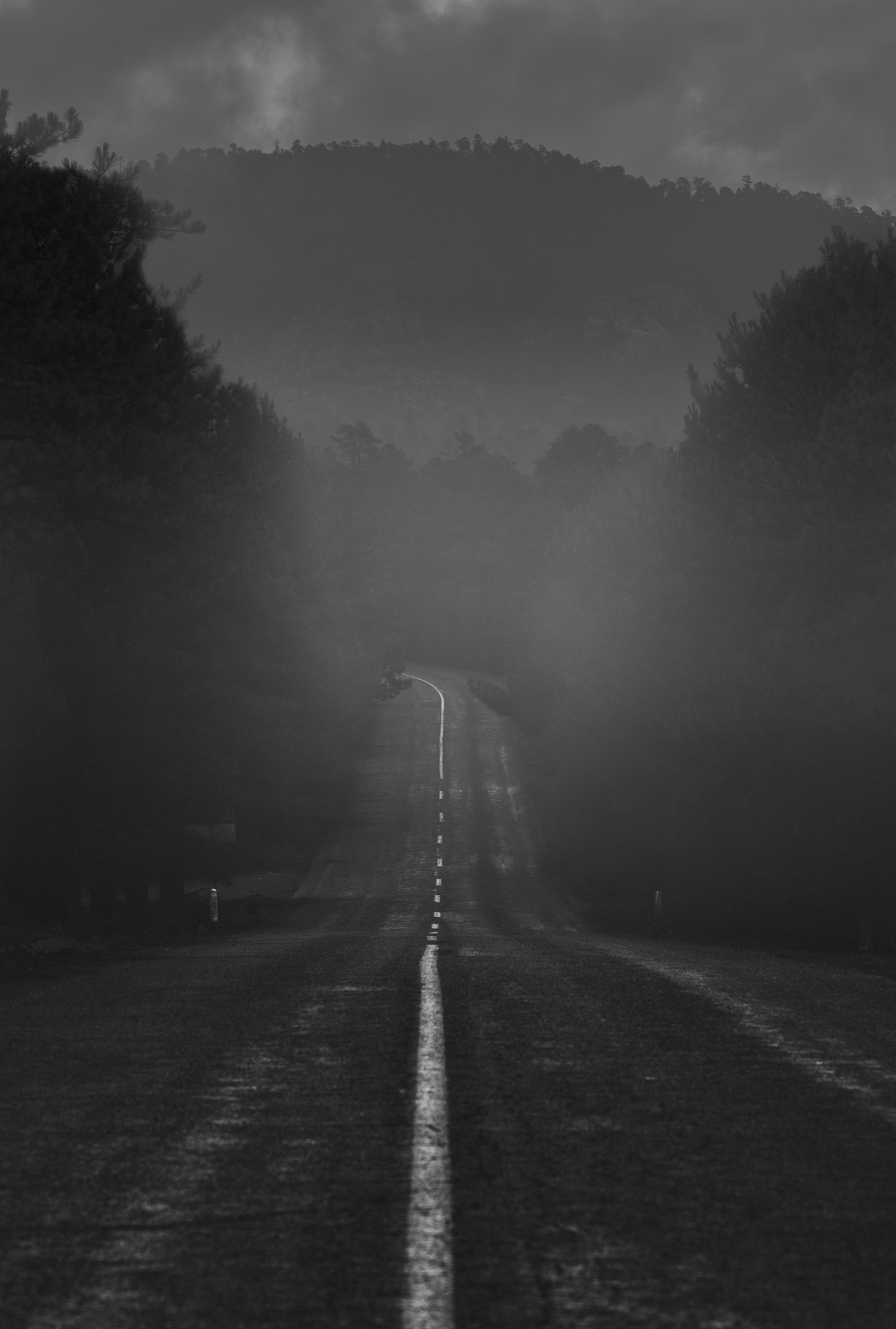Caminos entre la niebla.