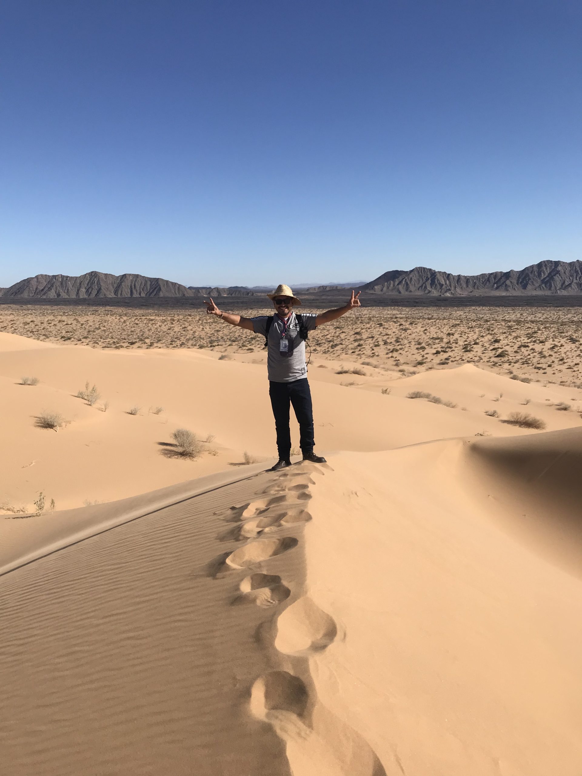 Gran Desierto De Altar Sonora