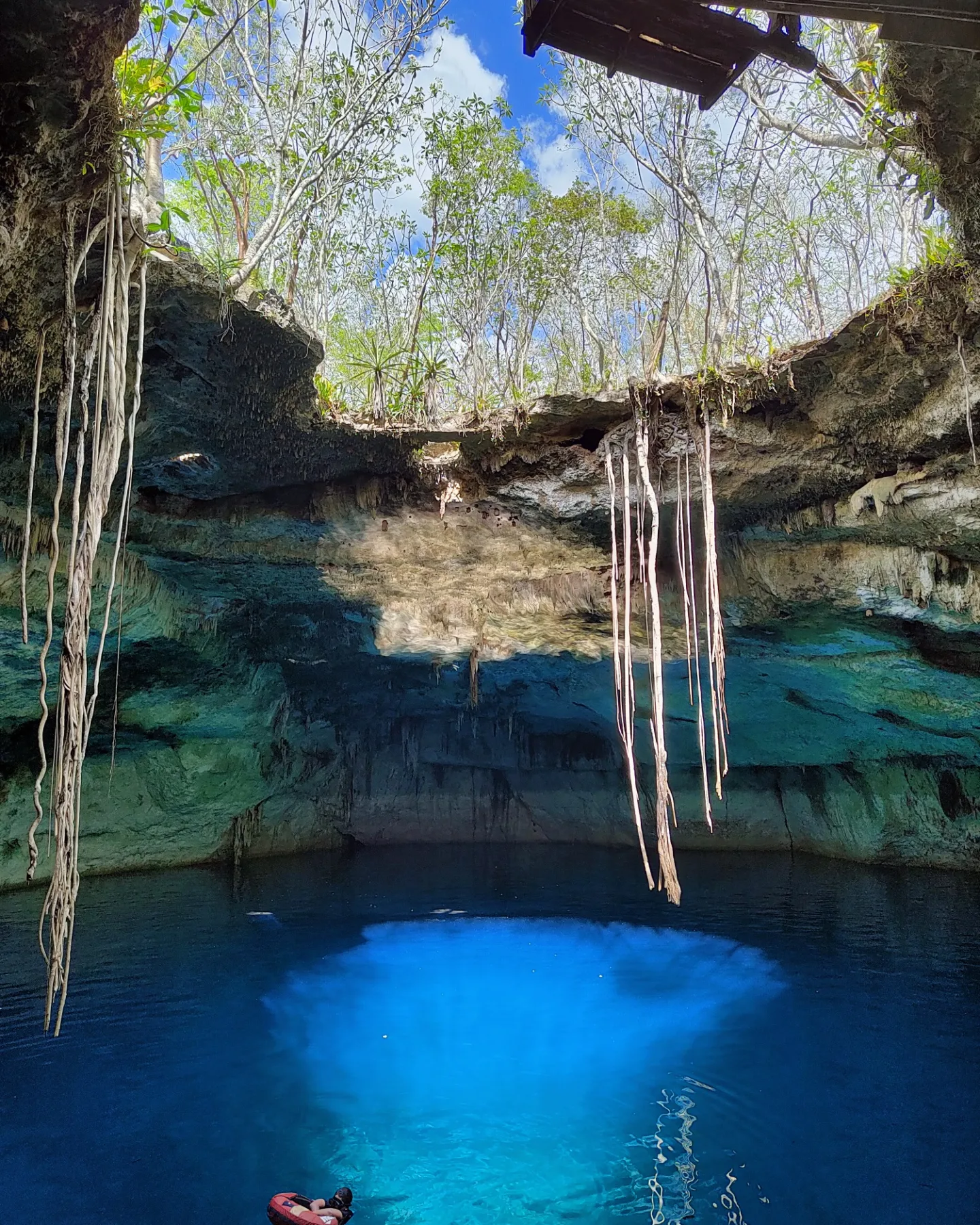 Cenotes mágicos de Yucatán